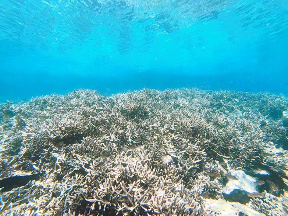 󂢏ꏊɃTS񂠂܂̂ŁǍ_CrOŏ\y߂܂B