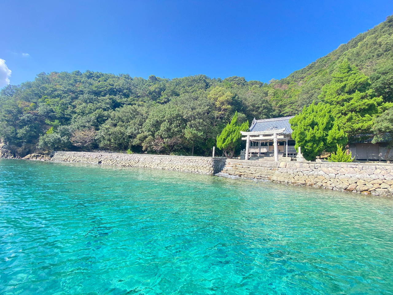 DłsȂ_ЁuRǐ_Ёvт̏_lAЂAĂI