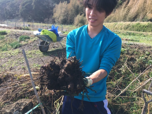 【昼食付き・農業体験】季節のお野菜の収穫体験と農作業体験! ファミリー・女性・カ...