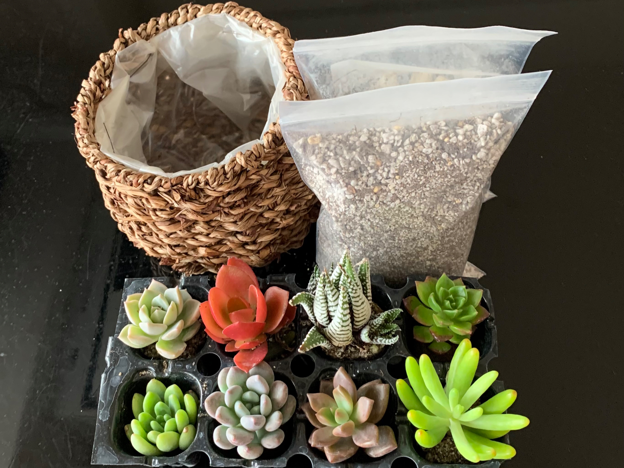 多肉植物の寄せ植え体験 心癒されるインテリアとしても大人気 ファミリー 女性におすすめ アトリエmiyo じゃらん遊び体験