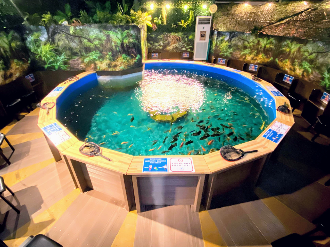 ジャングルリバーねったいぎょつり