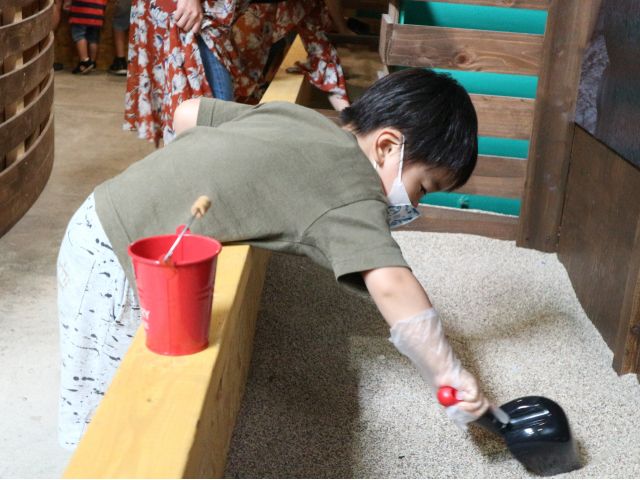 トレジャーハンター王家の秘宝を探し出せ!