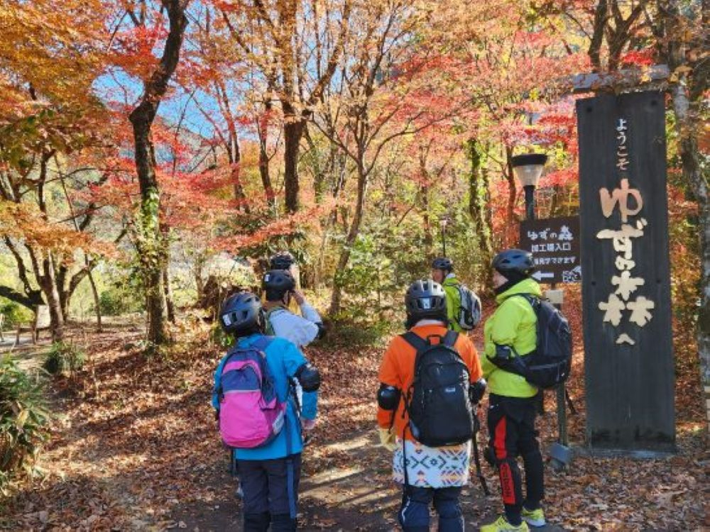 䂸̐XH(䂸̂肩傤肮)