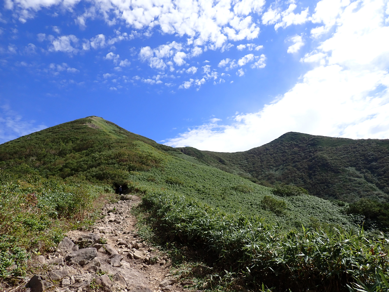 �j�Z�R�A�R�ō���Ől�C�́y�j�Z�R�A���k�v���z