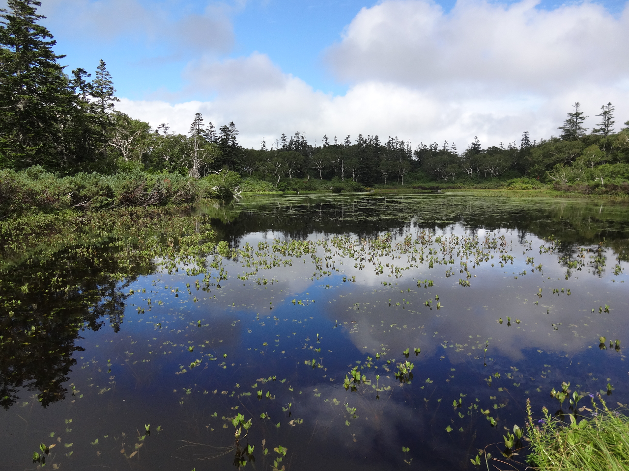 �y�_����z�j�Z�R�ɐ�������̒��ň�Ԕ������ƌ�����l�C�̍��w�����ł�