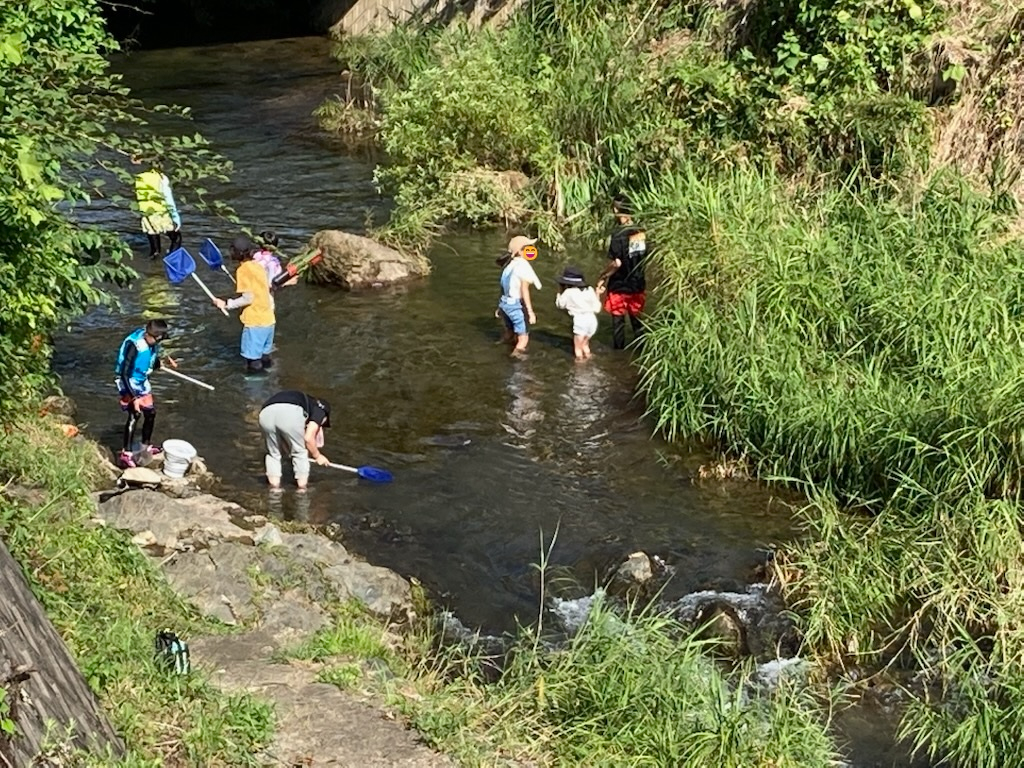 Vтł܂œkRBTKjAǂ傤Ȃǂl܂BiJcjނOKB