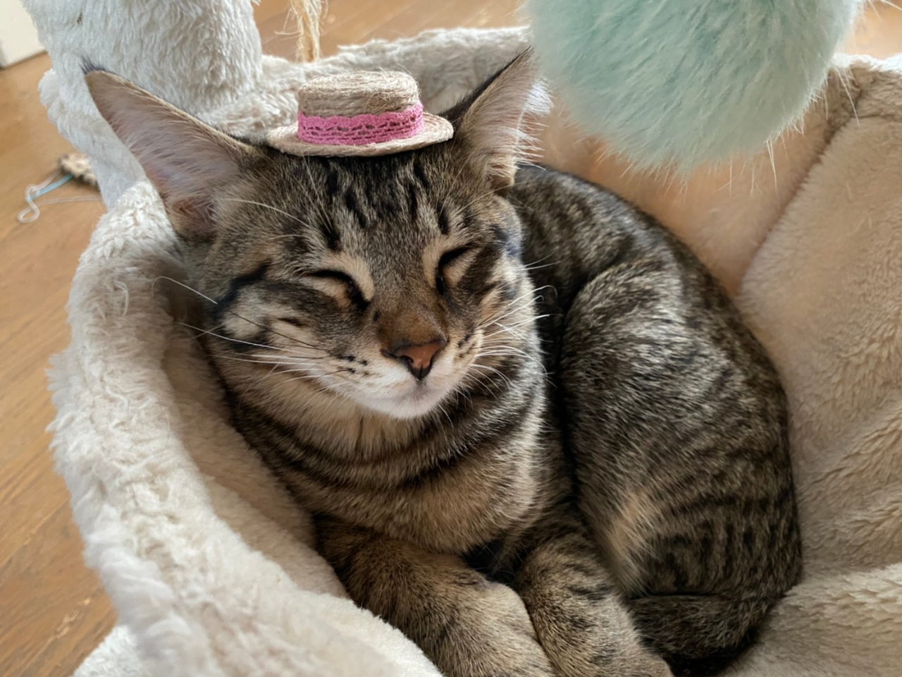 毎月後半開催「麦わら帽子作り」or「羽根つきアクセサリー作り」※入店