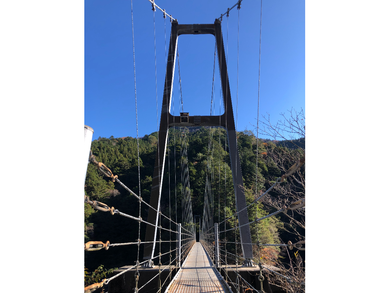 V̓˂ɂ͑傫Ȓ݂苴B