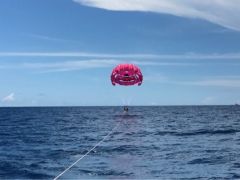 風や波のコンディションが良ければ海面ギリギリまでゆっくり低空し海面散歩も楽しめちゃいます!