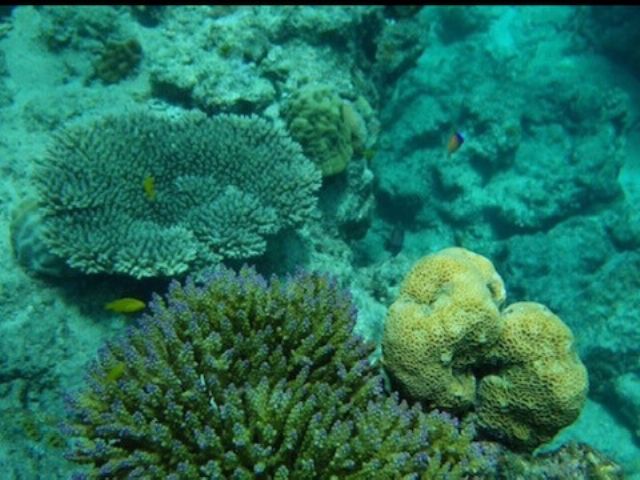 天然水族館を満喫頂けます♪