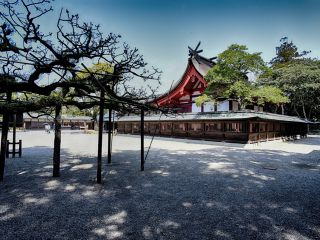 半日プラン 権宮司がひも解く 古事記 日本書紀から見る宗像大社 女性 カップルにおすすめ 宗像観光協会 じゃらん遊び体験 半日プラン 権宮司がひも解く 古事記 日本書紀から見る宗像大社 女性 カップルにおすすめ 宗像観光協会 じゃらん遊び体験
