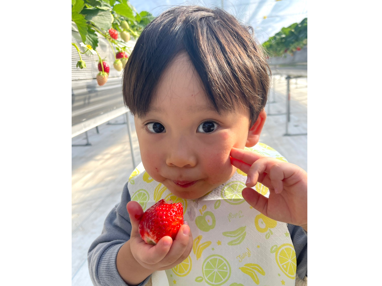 1O[v1ݐ؂ŁAqlASĂy߂