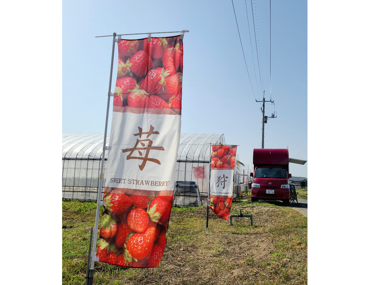 �C�`�S�̂̂ڂ肪�ڈ�I