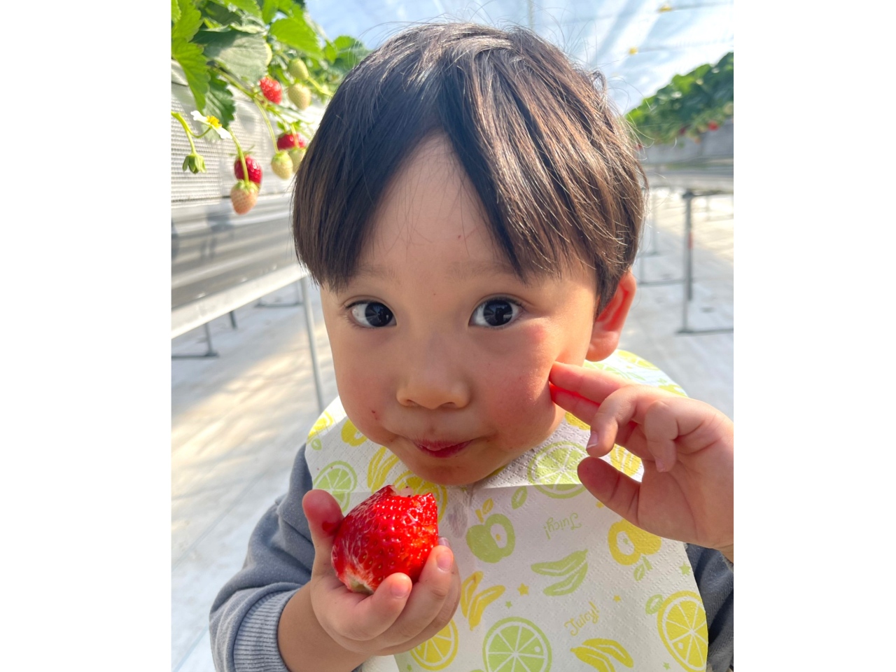 1O[v1ݐ؂ŁAqlASĂy߂