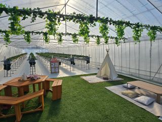 プレミアムハウス