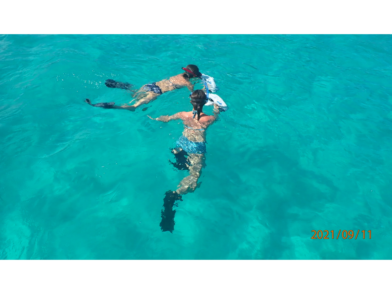 �����X�N�[�^�[�V���m�[�P��