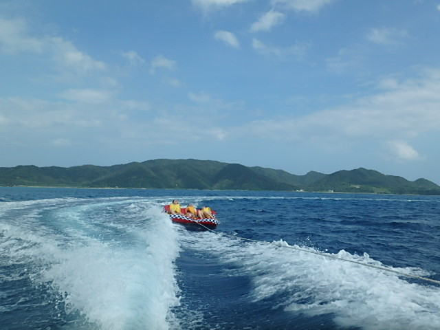 �g�[�C���O�`���[�u