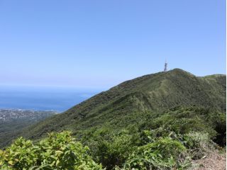 尾根道から三原山山頂を望む。