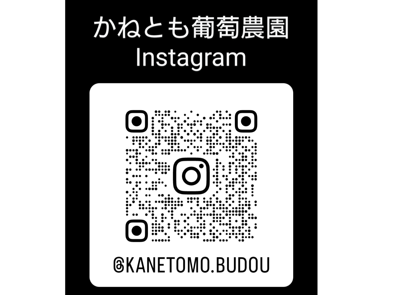 ���˂Ƃ������_���@�C���X�^�O�����o�^��낵�����肢���܂�