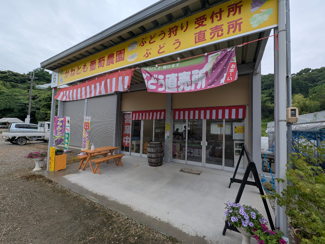 �Ԃǂ����̓�����t�������Ē����Ă���܂������̂Ԃǂ��������i�_���ԍ�6�j�ł��I����g�C�����ݔ��I���y�Y�Ԃǂ����̔����Ă���܂��I�܂��́A������ւ��肢�v���܂�