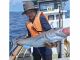 魚の重量感に嬉しさアップ