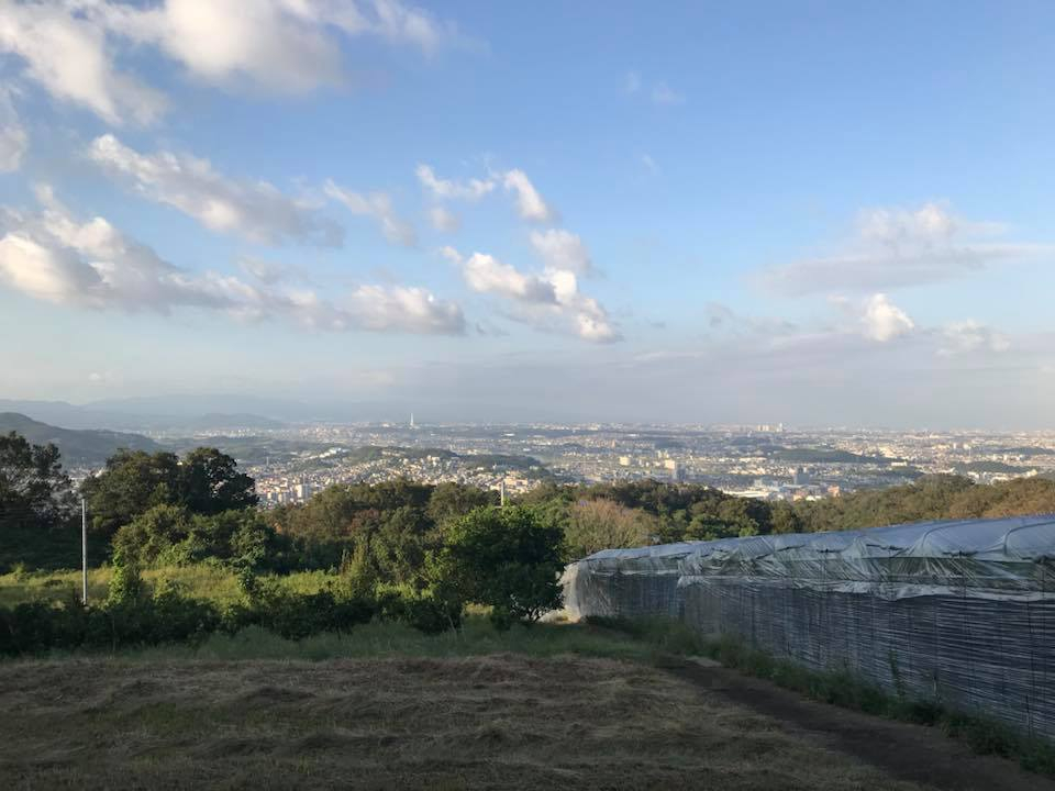 �R������̌i�F���f���炵���ł��I