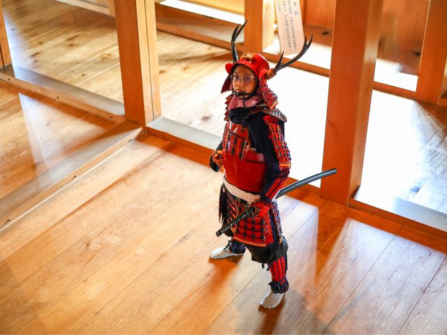 城内さまざまな場所で撮影することができます。天守閣からの撮影も可能。