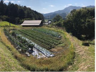 私たちの農場です(⌒∇⌒)