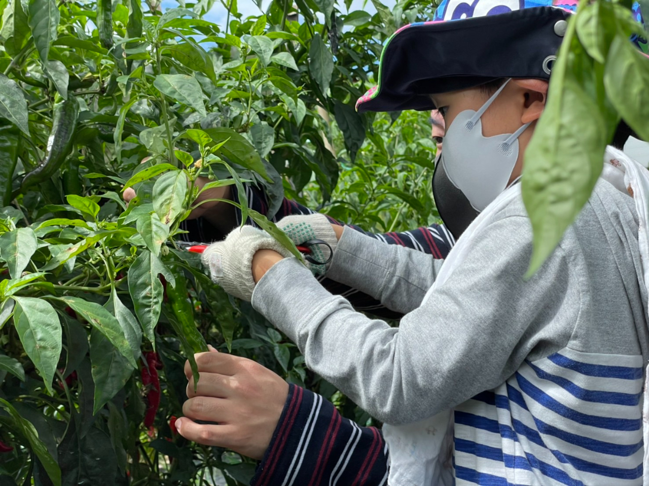 ݂͂ĕK̗lq(^^)̓hLhLB