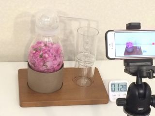 ハーブ蒸留体験 ハーブ蒸留器を使って 芳香蒸留水や精油を抽出してみましょう アロマニーズ じゃらん遊び体験 ハーブ蒸留体験 ハーブ蒸留器を使って 芳香蒸留水や精油を抽出してみましょう アロマニーズ じゃらん遊び体験