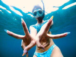 アオウミガメにも会えるかも!!