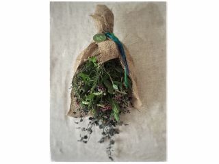 生花からドライフラワーになるのを楽しむハーブスワッグ フラワーデザイナーが教えるフラワー教室 じゃらん遊び体験 生花からドライフラワーになるのを楽しむハーブスワッグ フラワーデザイナーが教えるフラワー教室 じゃらん遊び体験
