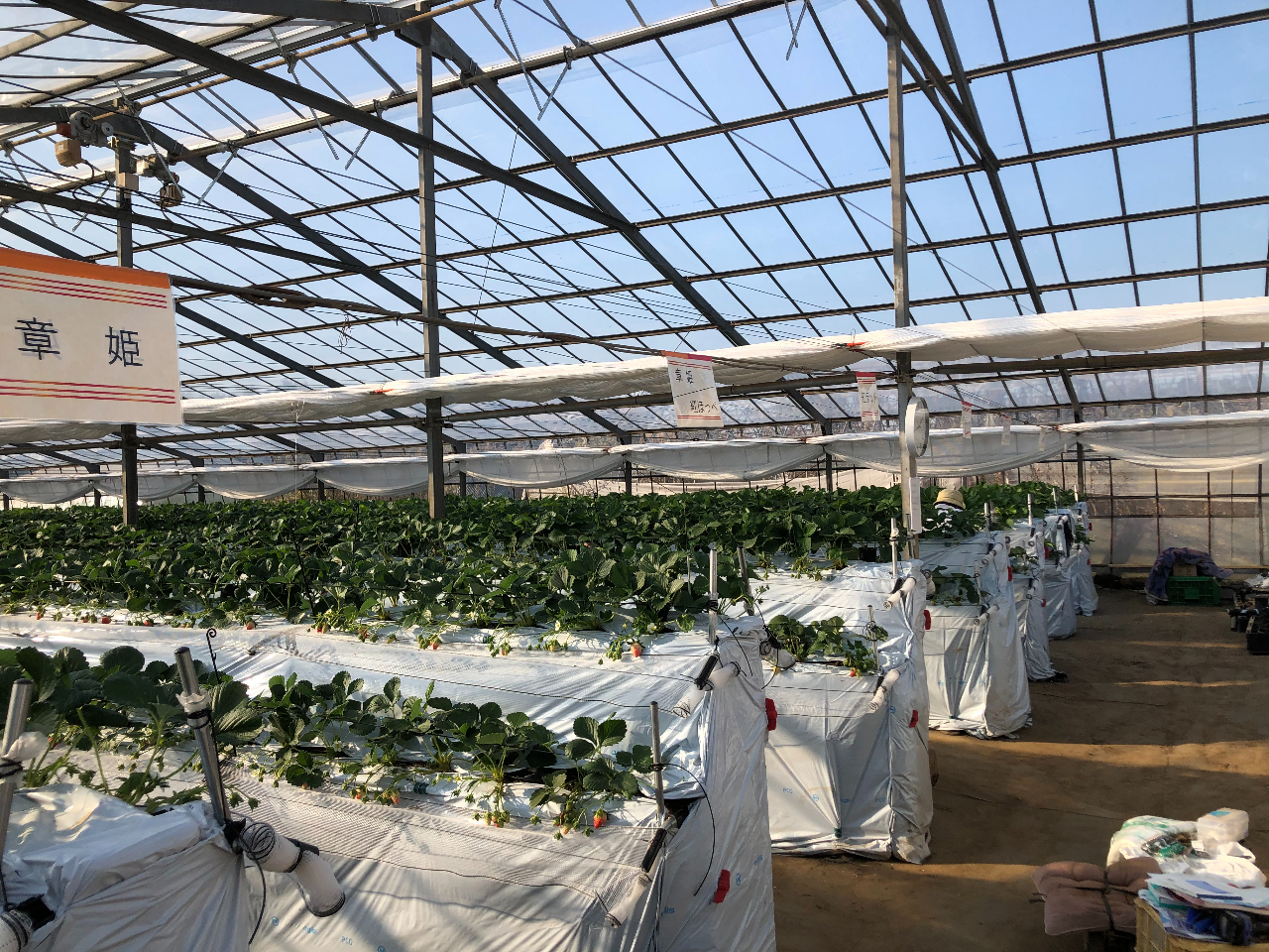 �����������ʐ^