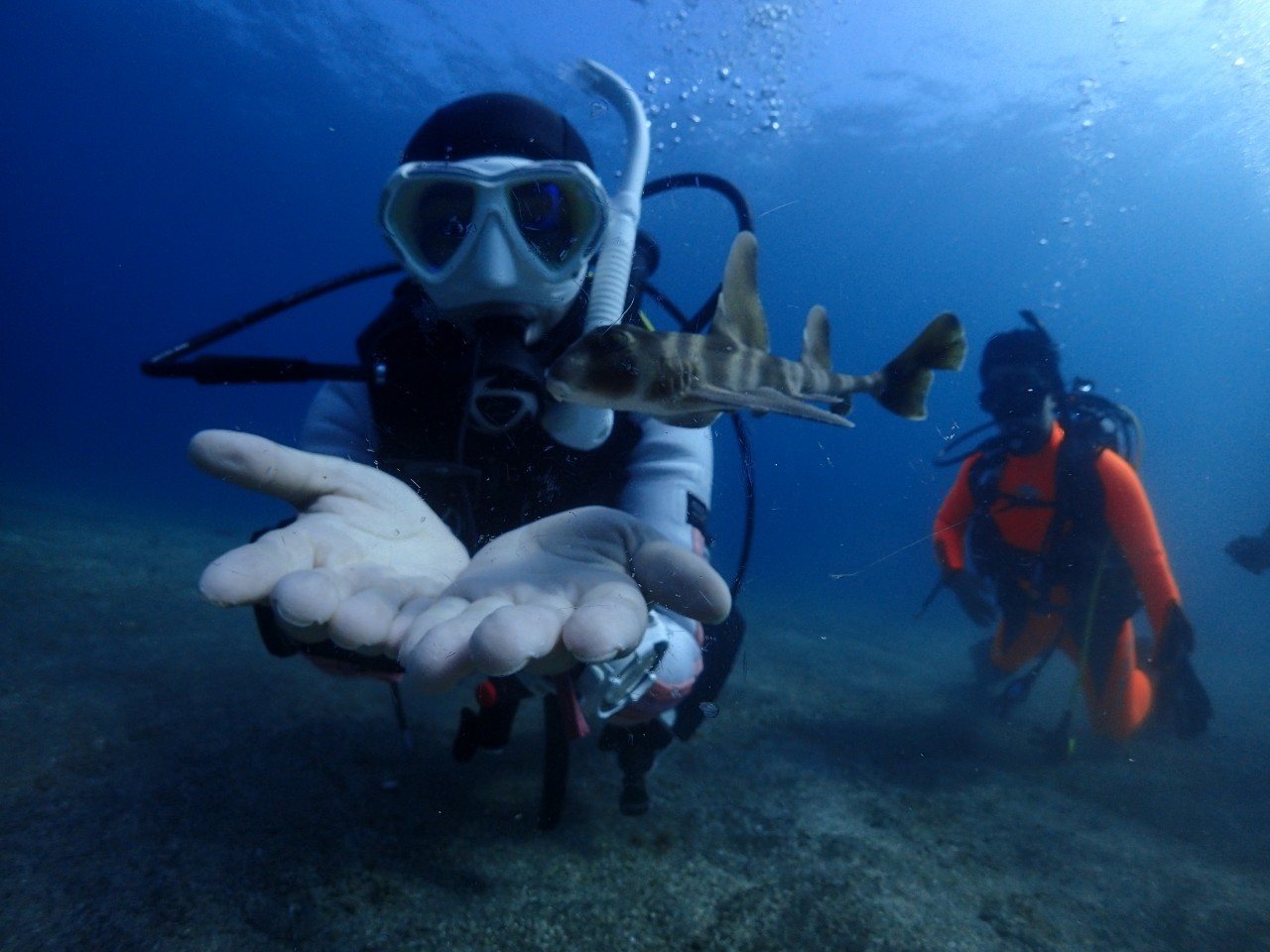 ̓A͐EɂAg߂ȊCɂ܂