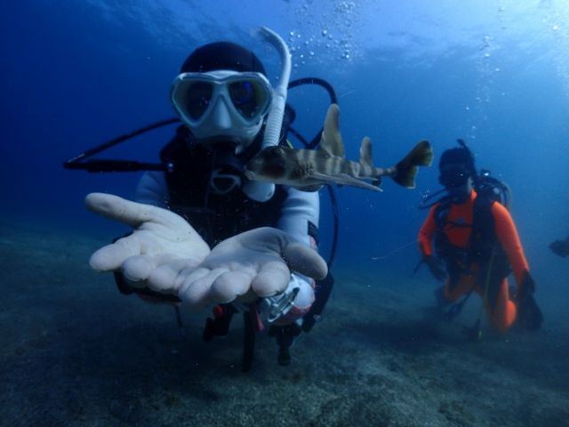 青の洞窟は世界中にあり、身近な海にもあります♪