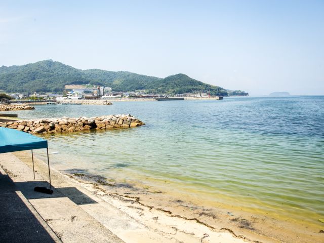 活動拠点:塩屋海岸