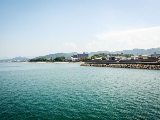 活動領域全体