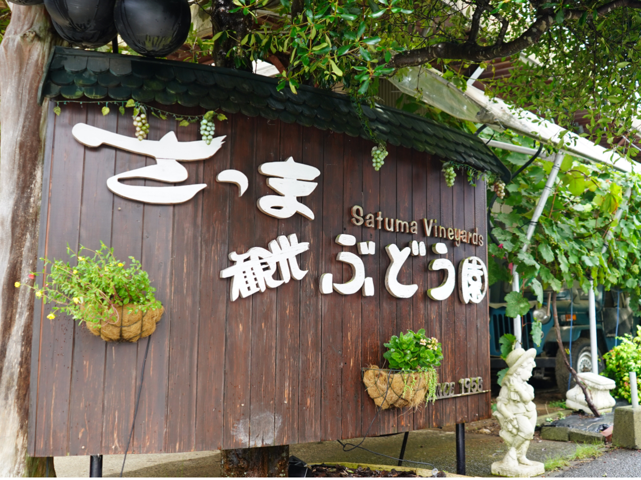 【鹿児島・出水】60年の続くぶどう園の美味しいぶどうをご堪能ください♪≪お子様に...
