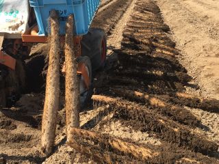 長芋収穫体験 山形村の名産品 火山灰土壌で育った粘り気の強い長芋 グループ ファミリーにおすすめ ささ園 じゃらん遊び体験 長芋収穫体験 山形村の名産品 火山灰土壌で育った粘り気の強い長芋 グループ ファミリーにおすすめ ささ園 じゃらん遊び体験