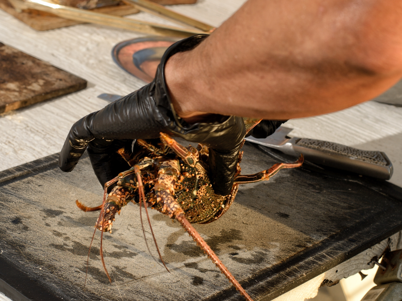 活沖縄伊勢海老bbqコース 生きた伊勢海老をテーブルで切り分ける感動の活伊勢海老bbq9980円 q るぐんちゅ じゃらん遊び体験