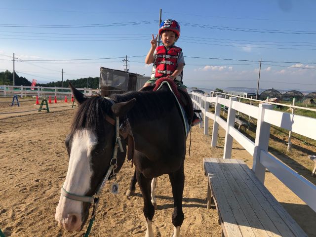 大阪府 和泉市 ファミリーにおすすめ ひき馬 施設内 体験 特定非営利活動法人アヴニールファーム じゃらん遊び体験 大阪府 和泉市 ファミリーにおすすめ ひき馬 施設内 体験 特定非営利活動法人アヴニールファーム じゃらん遊び体験