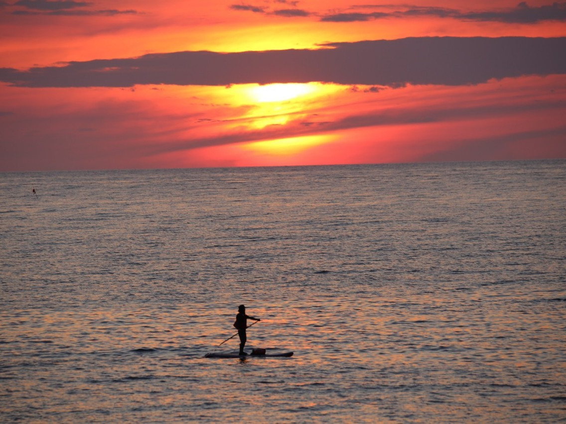 ݂䂭[z܂ł߂ĂȂ܂