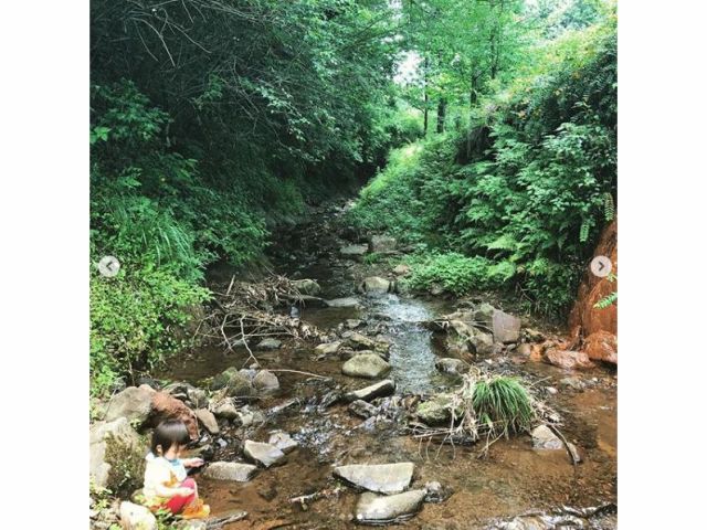 森林散策 自然宝さがし 阿蘇 小国の自然を満喫 美味しい空気でリラックス効果抜群 ファミリー カップル 所要時間60分 ファミリーキャンプ場 いもんころ じゃらん遊び体験 森林散策 自然宝さがし 阿蘇 小国の自然を満喫 美味しい空気でリラックス効果抜群 ファミリー カップル 所要時間60分 ファミリーキャンプ場 いもんころ じゃらん遊び体験