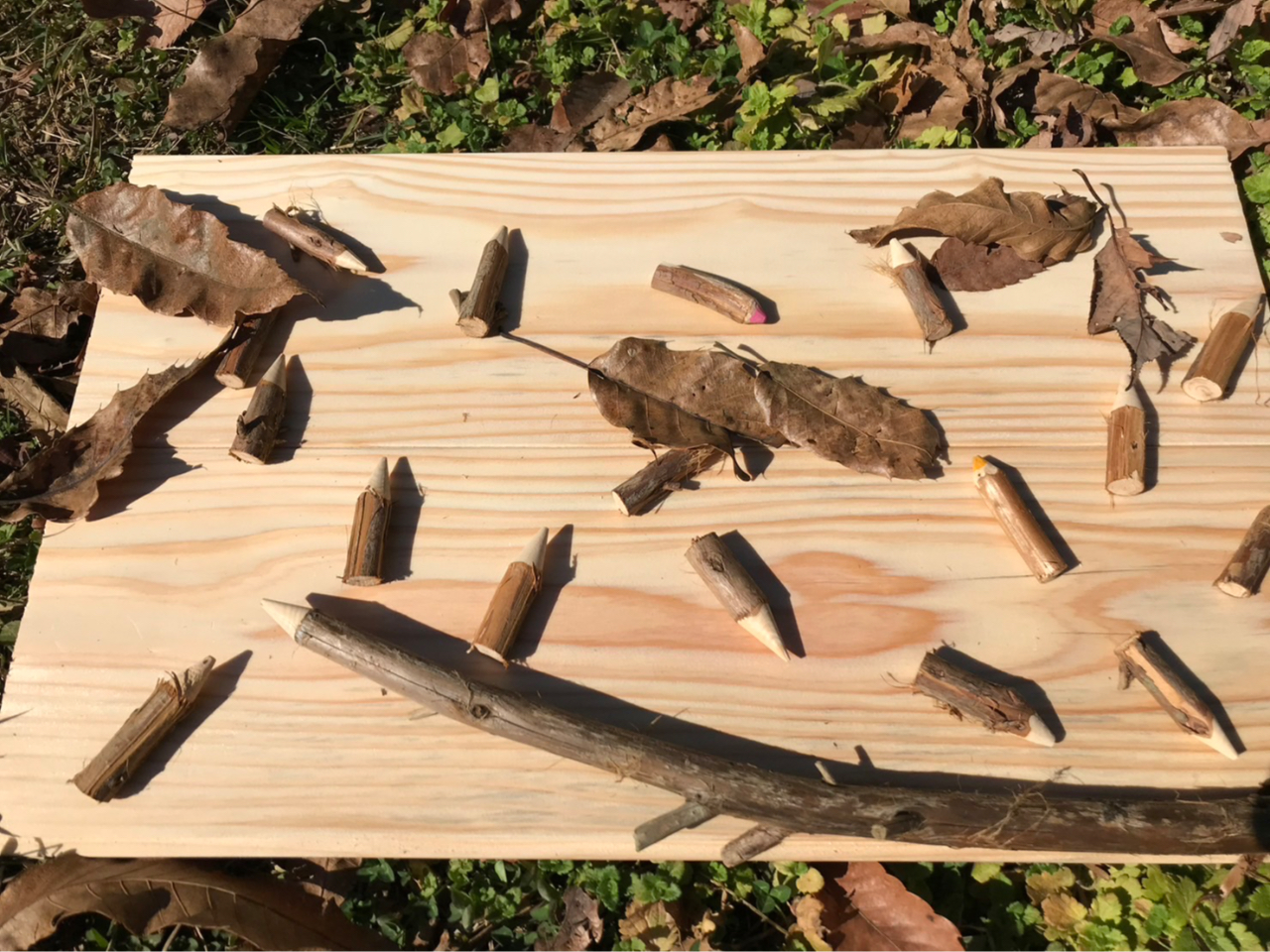 Ȗ؂̂҂BƕRΑfGȃlbNXAANZT[ɁI