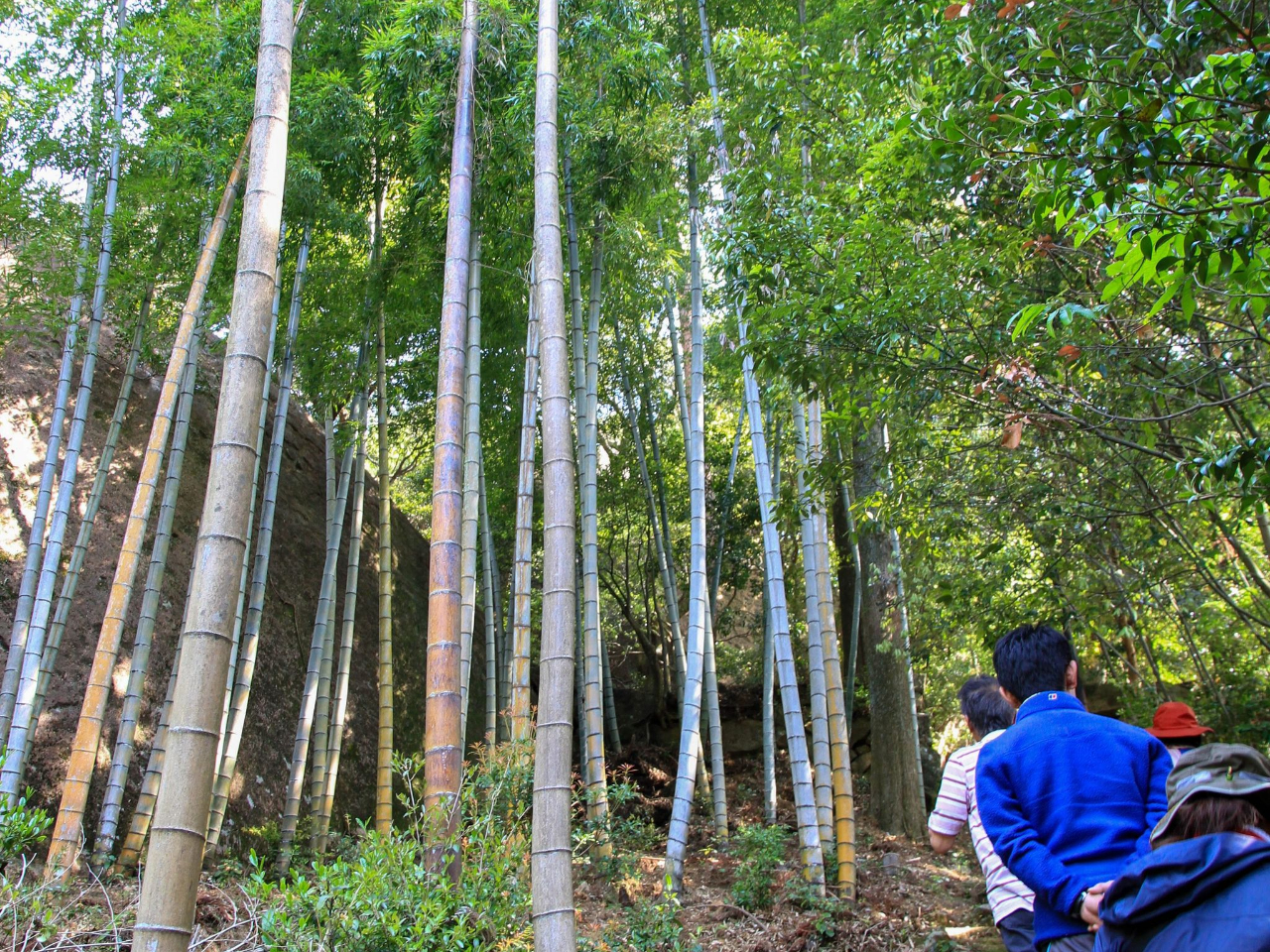 |тɈ͂܂ꂽ240i̐Βio܂