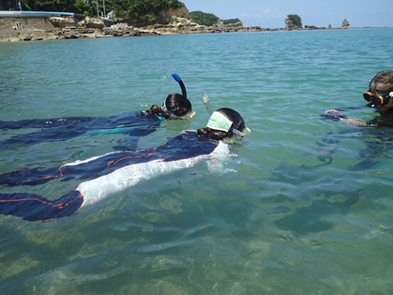 慣れてきたら、いよいよ魚達との出会いです。