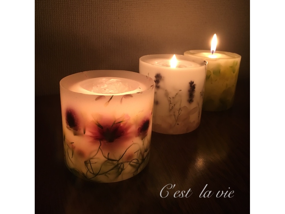 ƒSڂ񂾂悤ɗnĂÂԂƂ炳ƂĂYłI