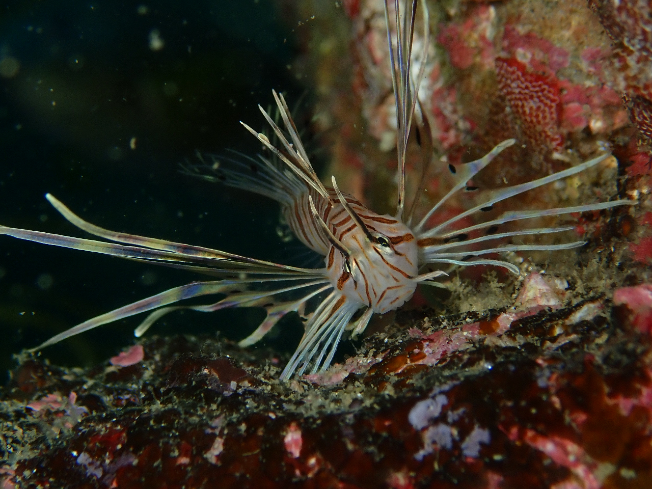 �~�m�J�T�S