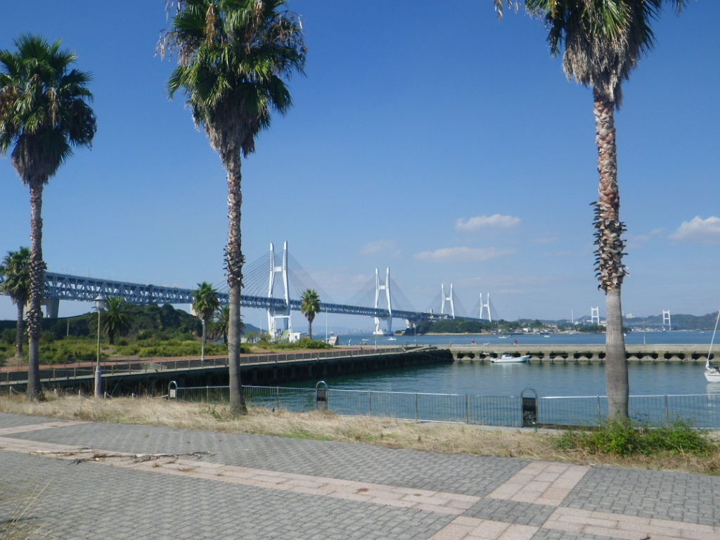 高松港発着 瀬戸内の島を半日4時間クルーズ じゃらん限定 シークレットポイントにご案内します ユアクルーズ じゃらん遊び体験