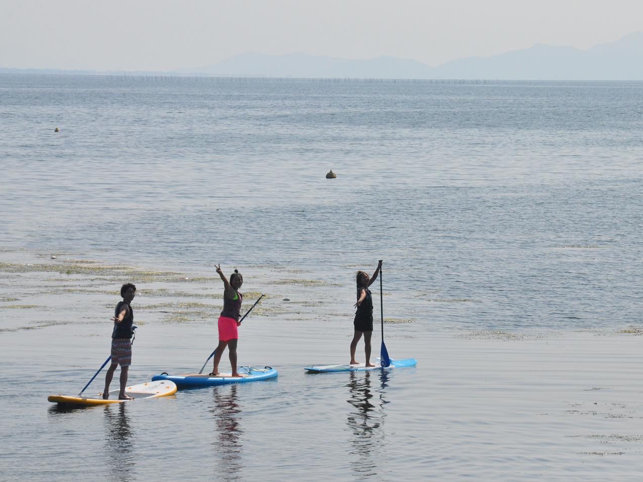 EFCN{[h EFCNT[tB̌ɁAi΂̐UɏoĂ݂܂񂩁H